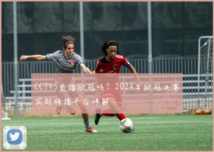 CCTV5直播欧冠吗？2024年欧冠决赛实时转播平台详解